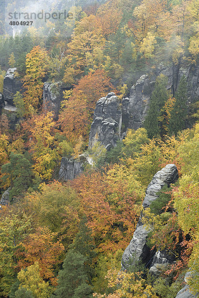 Herbst im Elbsandsteingebirge  Sächsische Schweiz  Sachsen  Deutschland  Europa