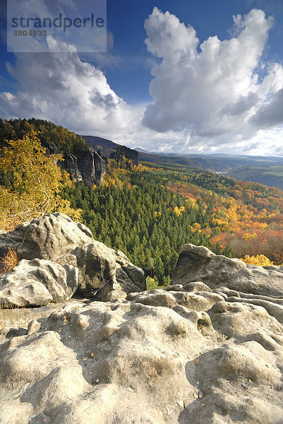 Blick über das herbstliche Elbtal  Elbsandsteingebirge  Sächsische Schweiz  Sachsen  Deutschland  Europa