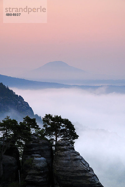 Blick vom Malerweg  Elbtal im Morgennebel  Elbsandsteingebirge  Sächsische Schweiz  Sachsen  Deutschland  Europa