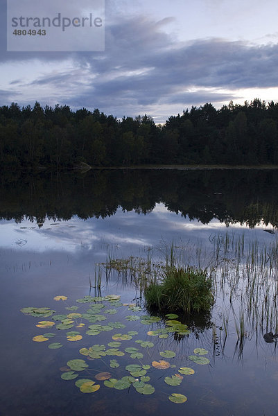 Morgenstimmung an einem Teich in Norwegen  Europa