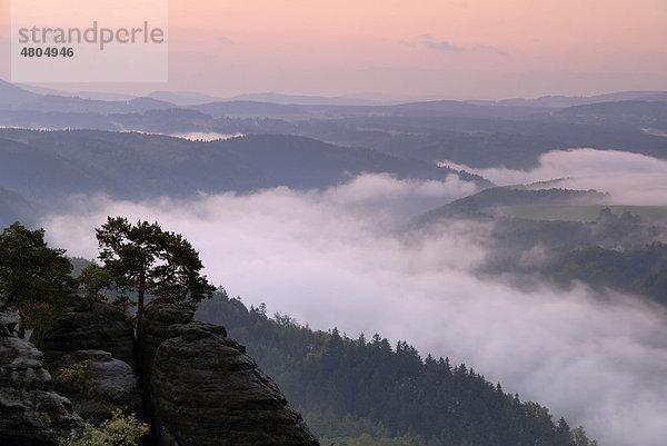 Blick vom Malerweg  Elbtal im Morgennebel  Elbsandsteingebirge  Sächsische Schweiz  Sachsen  Deutschland  Europa