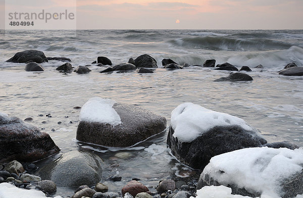 Vereiste Steine an der Ostseeküste im Nationalpark Jasmund  Rügen  Mecklenburg Vorpommern  Deutschland  Europa