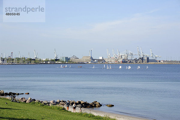 Speichergebäude und Kräne  Segelregatta  Hafen am Kattegat  _rhus  Jütland  Dänemark  Europa