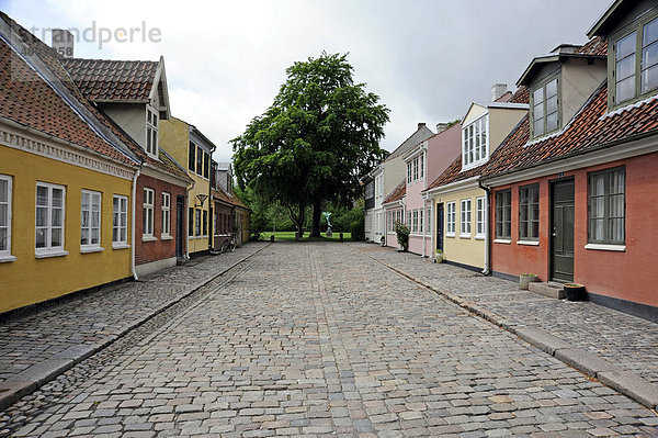 Häuser in der Altstadt  Odense  Insel Fünen  Region Syddanmark  Dänemark  Europa