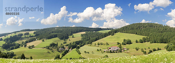 Glottertal  Schwarzwald  Baden-Württemberg  Deutschland  Europa