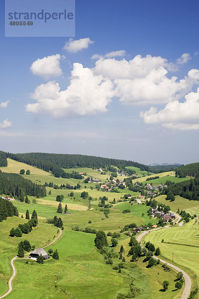 Landschaft im Südschwarzwald zwischen Lenzkirch und Schluchsee  Baden-Württemberg  Deutschland  Europa