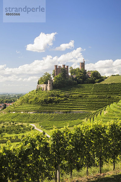 Schloss Ortenberg  bei Offenburg  Schwarzwald  Baden-Württemberg  Deutschland  Europa