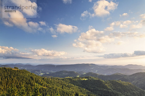 Aussicht über den mittleren Schwarzwald in Richtung Süden  Baden-Württemberg  Deutschland  Europa