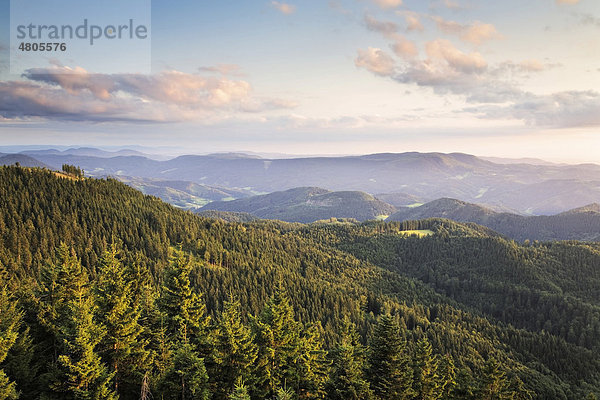 Aussicht über den mittleren Schwarzwald in Richtung Süden  Baden-Württemberg  Deutschland  Europa