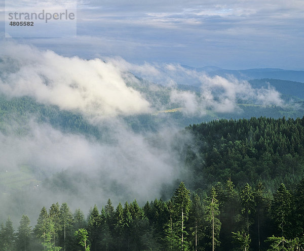 Nebel über dem Achertal  Nordschwarzwald  Baden-Württemberg  Deutschland  Europa
