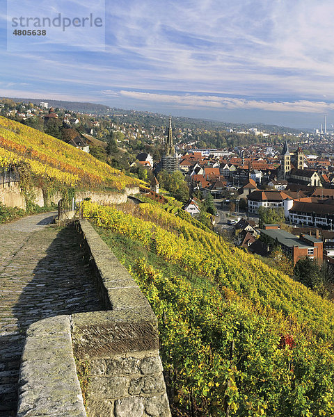 Blick über Esslingen am Neckar im Herbst  Baden-Württemberg  Deutschland  Europa