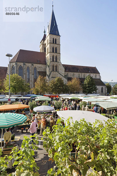 Markt vor der Stadtkirche St. Dionys  Esslingen am Neckar  Baden-Württemberg  Deutschland  Europa