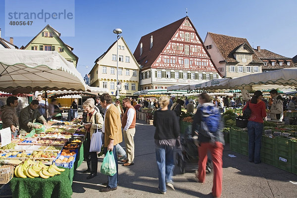 Markttag auf dem Marktplatz von Esslingen am Neckar  Baden-Württemberg  Deutschland  Europa