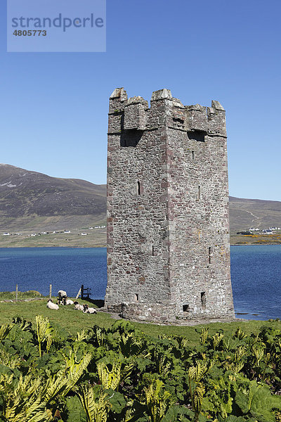 Carrickahowley Castle  Granuaile's Tower  Cloghmore  Achill Island  County Mayo  Connacht  Republik Irland  Europa