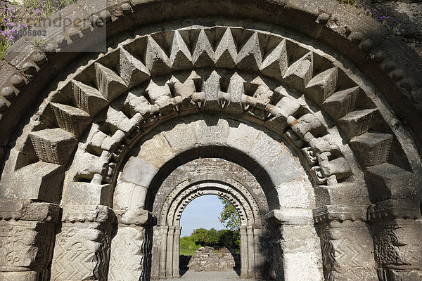 Nonnenkirche  Kloster Clonmacnoise  County Offaly  Leinster  Republik Irland  Europa