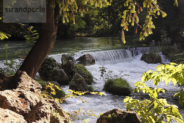 Wasserfall im Eisbach  Englischer Garten  München  Oberbayern  Bayern  Deutschland  Europa