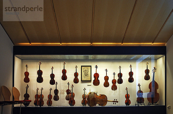 Ausstellungsraum  Vitrine mit Streichinstrumenten  Geigenbaumuseum  Ballenhausgasse 3  Mittenwald  Oberbayern  Bayern  Deutschland  Europa