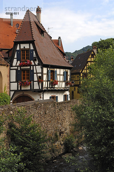 Blick auf alte Fachwerkhäuser an der Rue de l'Oberhof vorne Fluss mit alter Schutzmauer  Kaysersberg  Elsass  Frankreich  Europa