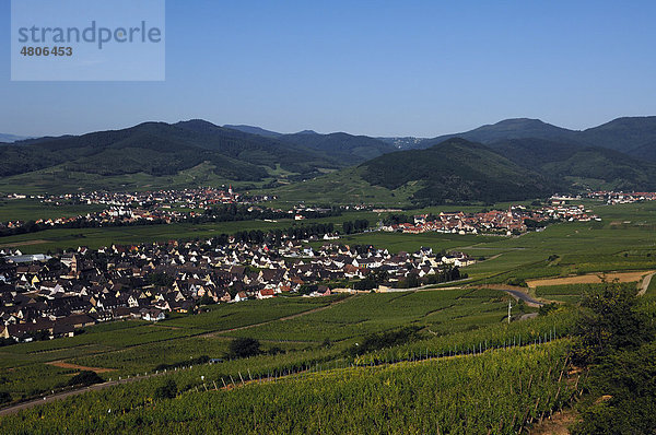 Blick auf Kientzheim mit Weinbergen  hinten Sigolsheim mit den Vogesen  Elsass  Frankreich  Europa