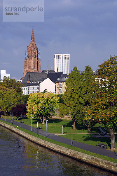 Dom und Opernturm  Bäume am Mainufer  Frankfurt am Main  Hessen  Deutschland  Europa