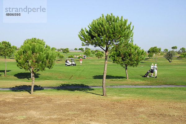 Bäume auf dem Golfplatz  Club de Golf El Rompido  El Rompido  Cartaya  Costa de la Luz  Huelva Region  Andalusien  Spanien  Europa