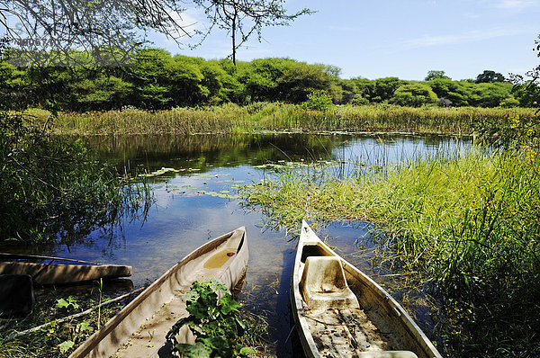 Mokoro  Mokoros  Einbäume auf dem Thamalakane Fluss  südlicher Abfluss des Okavango aus dem Okavango-Delta  Stadt Maun  Botsuana  Afrika