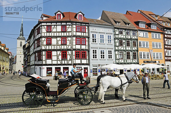Pferdekutsche für Touristen am Domplatz  Erfurt  Thüringen  Deutschland  Europa