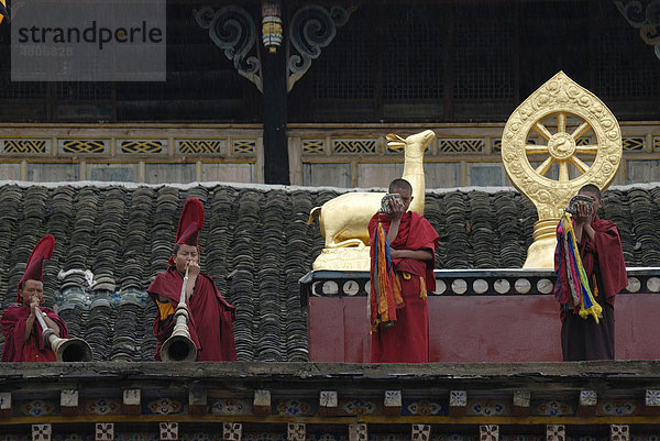Mönche mit roter Mönchsrobe und Mönchsmützen rufen zum Gebet mit Muschelhorn und Klostertrompete auf dem Dachbalkon des Kloster Lhagang  Lhagang Gompa  Kham  Tibet  Tagong  Sichuan  China  Asien
