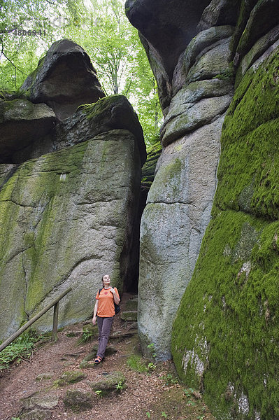 Frau wandert im Natur und Felsenpark Falkenstein  Bayerischer Wald  Niederbayern  Bayern  Deutschland  Europa
