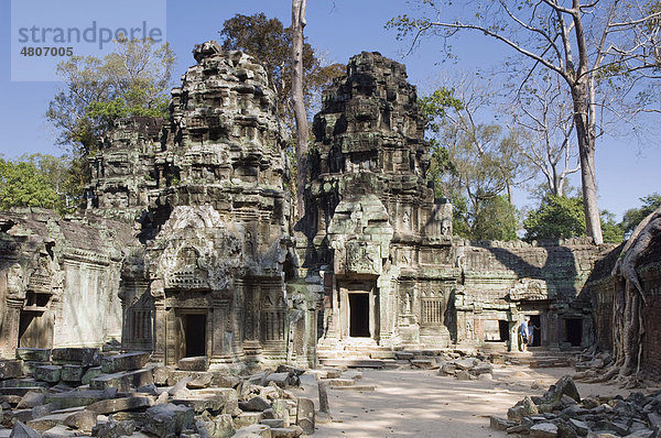 Ta Prohm Tempel  Angkor Tempel  Siem Reap  Kambodscha  Indochina  Südostasien