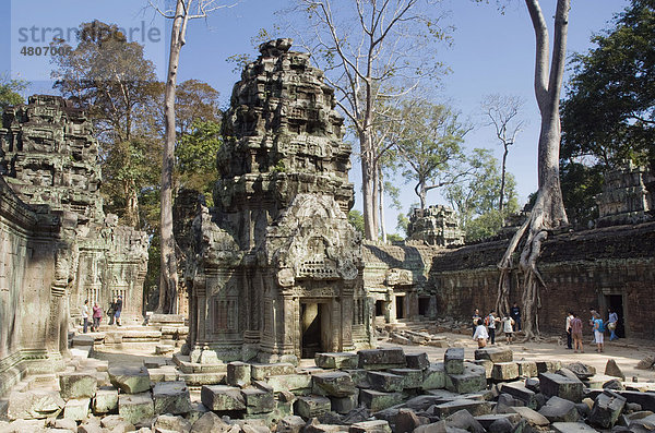 Ta Prohm Tempel  Angkor Tempel  Siem Reap  Kambodscha  Indochina  Südostasien