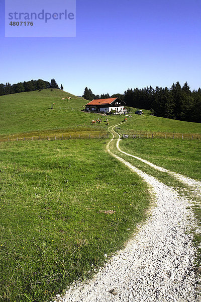 Feldweg zu einer Alpenhütte  Chiemgau  Oberbayern  Bayern  Deutschland  Europa