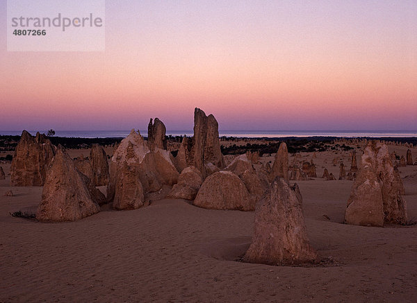 Felsformation The Pinnacles  Nambung-Nationalpark  Bundesstaat Western Australia  Australien