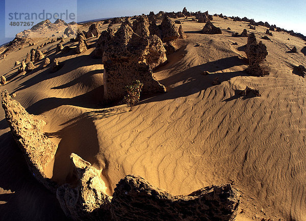 Felsformation The Pinnacles  Nambung-Nationalpark  Bundesstaat Western Australia  Australien