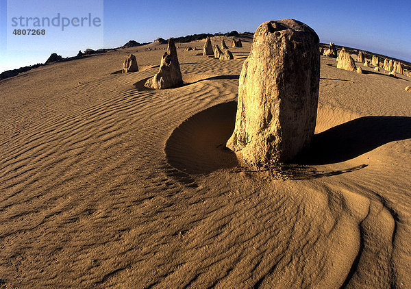 Felsformation The Pinnacles  Nambung-Nationalpark  Bundesstaat Western Australia  Australien