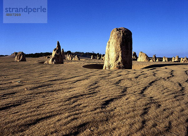 Felsformation The Pinnacles  Nambung-Nationalpark  Bundesstaat Western Australia  Australien