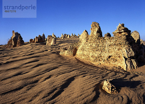 Felsformation The Pinnacles  Nambung-Nationalpark  Bundesstaat Western Australia  Australien