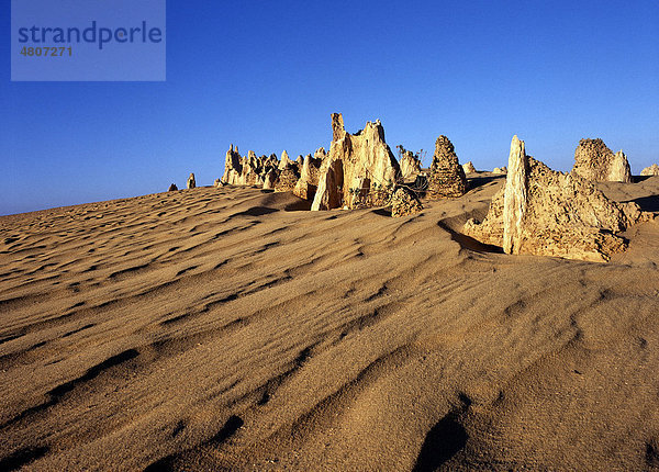 Felsformation The Pinnacles  Nambung-Nationalpark  Bundesstaat Western Australia  Australien