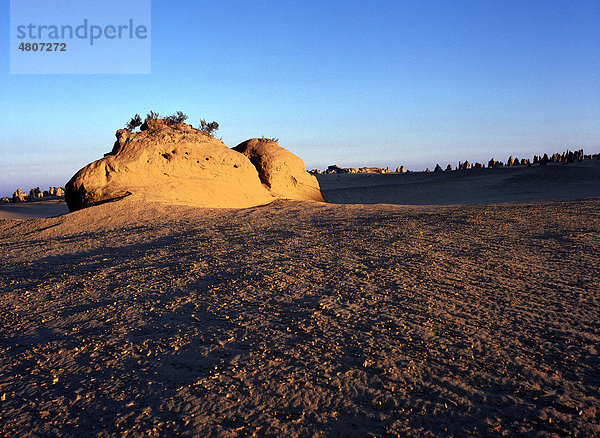 Felsformation The Pinnacles  Nambung-Nationalpark  Bundesstaat Western Australia  Australien