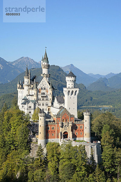Schloss Neuschwanstein  Bayern  Deutschland  Europa