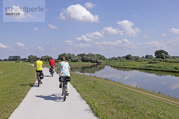 Radfahrer auf dem Elberadweg bei Stiepelse  Landkreis Lüneburg  Niedersachsen  Nordeutschland  Deutschland  Europa