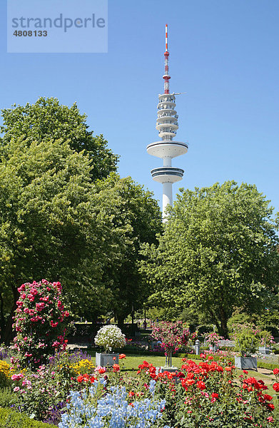 Park Planten un Blomen und Fernsehturm  Hamburg  Deutschland  Europa