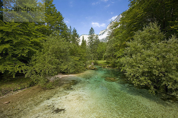 Nationalpark Triglav  Slowenien  Europa