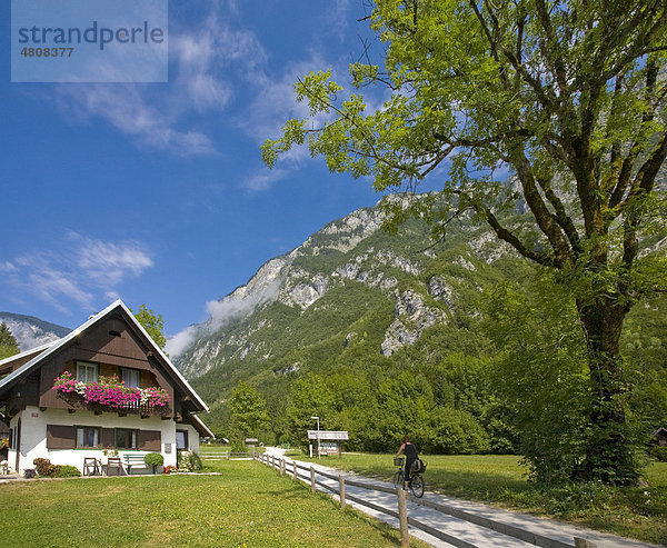 Nationalpark Triglav  Slowenien  Europa