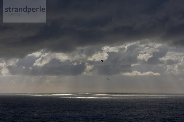 Dunkle Wolken über der Nordsee mit einzelnen Lichtflecken auf dem Meer vor der Insel Helgoland  Schleswig-Holstein  Deutschland  Europa