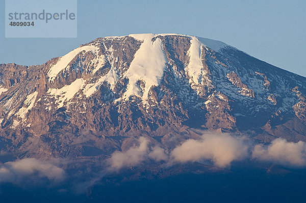 Südliches Eisfeld  Kilimanjaro  Tansania  Afrika