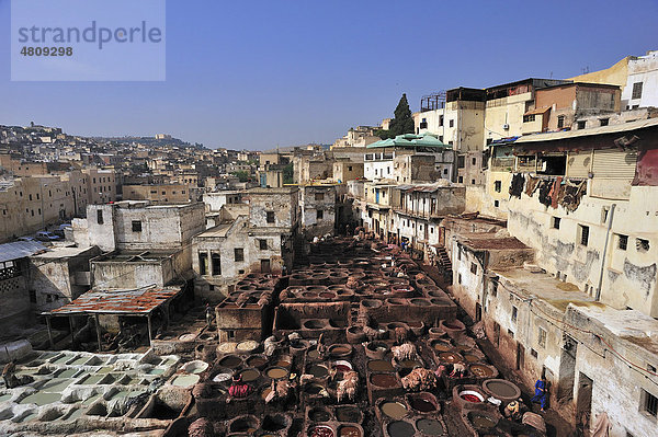 Kalk- und Färbebottiche  Gerber- und Färberviertel  FËs  Marokko  Afrika