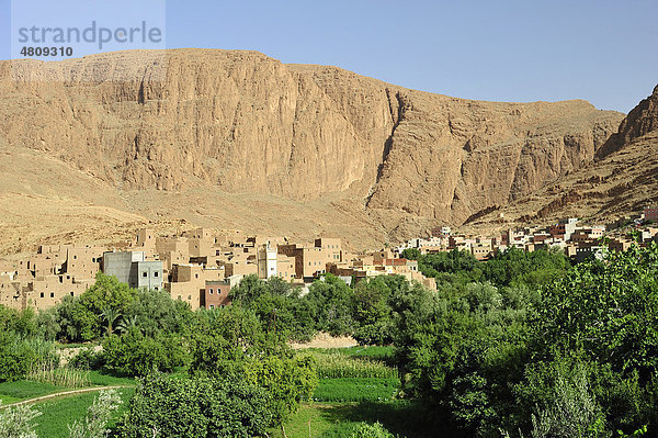 Oasenlandschaft  Dattelpalmenoase mit Feldern  Dorf Tinerhir mit Lehmhäusern und Moschee  hinten der Eingang zur Todhra-Schlucht  Südmarokko  Marokko  Afrika