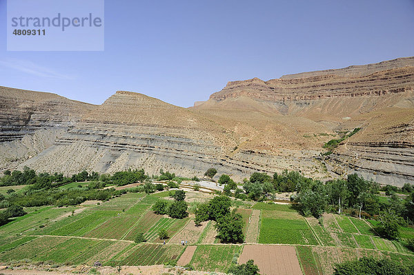 Flussoase am Dades-Fluss  Berge im Dades-Tal  geologische Schichtstufenlandschaft  Hoher Atlas  Südmarokko  Marokko  Afrika