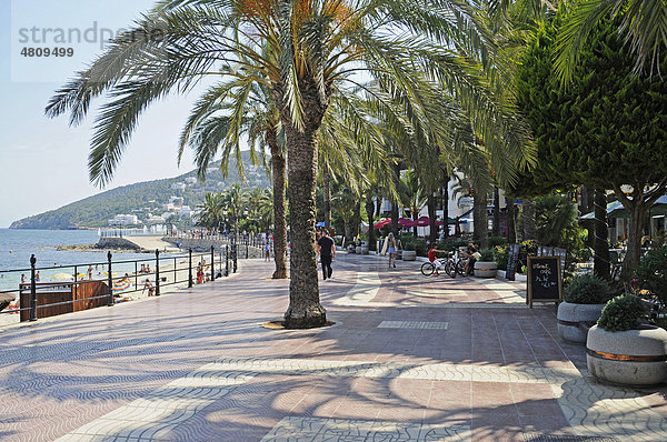 Strandpromenade  Palmen  Santa Eularia des Riu  Ibiza  Pityusen  Balearen  Insel  Spanien  Europa